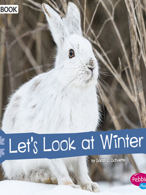 cover image of Let's Look at Winter